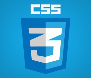کتاب آموزش فارسی CSS 3 کتاب آموزش فارسی CSS 3