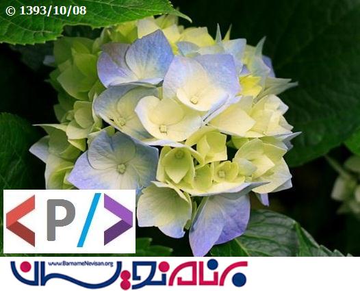 asp.net | چسباندن لوگو به عکس در هنگام آپلود، با استفاده از System.Drawing namespace