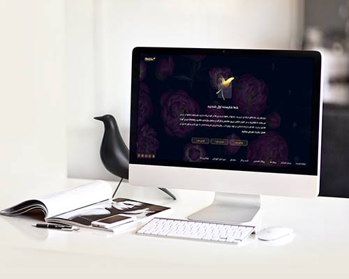 مهمترین اصول اساسی و مهم در استفاده از ویدئو بک گراند در طراحی سایت