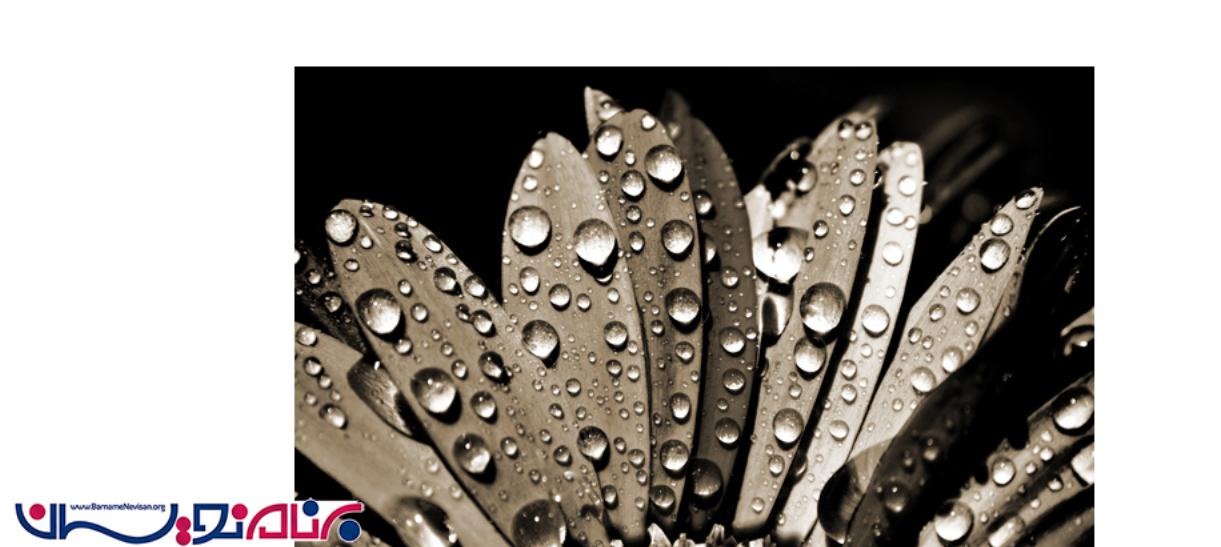 پیش نمایش  تصویر آپلود شده بدون Postback در Asp.Net