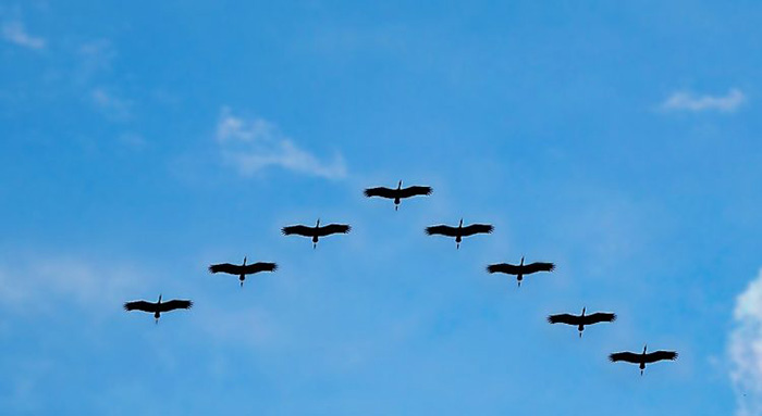 مهاجرت از project.json به csproj با استفاده از ویژوال استودیو 2017