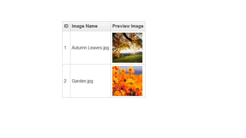 نمایش تصاویر در GridView توسط   LightBox